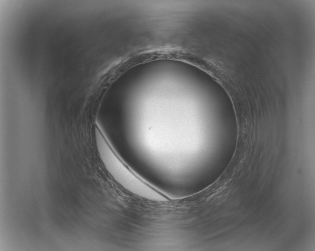 X0000064051398200601270946