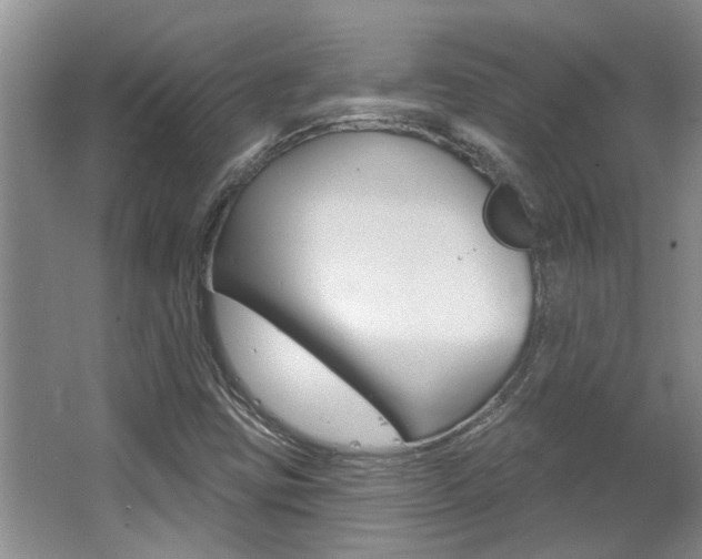 X0000064051403200601270946