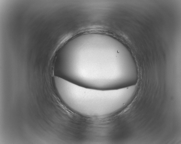 X0000064051405200601270946