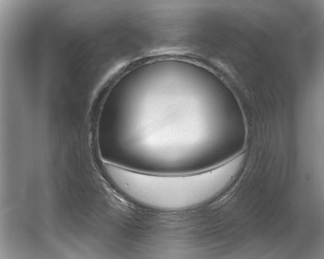X0000064051406200601270946