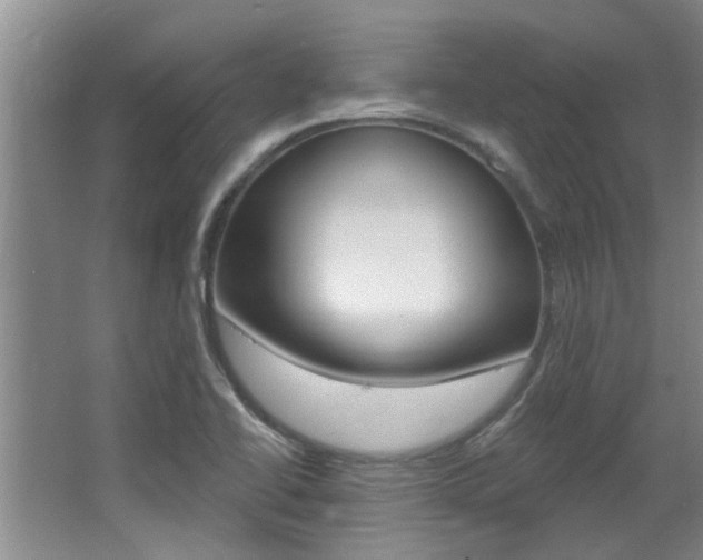 X0000064051414200601270946