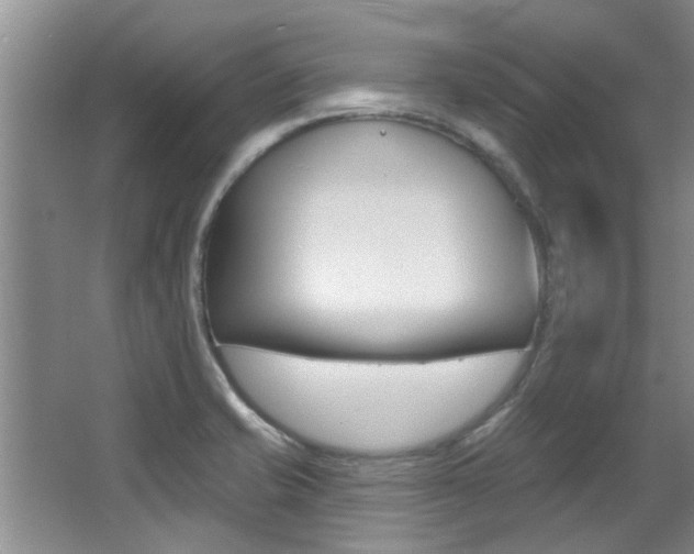 X0000064051421200601270946