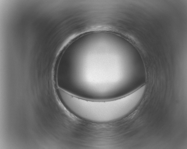 X0000064051422200601270946