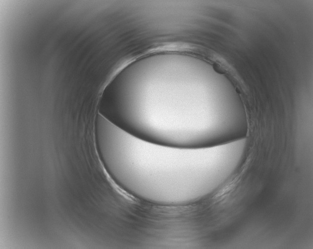 X0000064051425200601270946