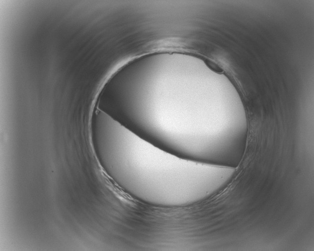 X0000064051435200601270947