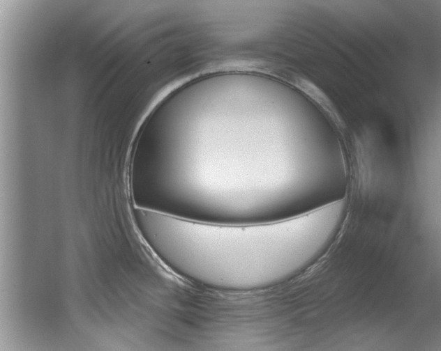 X0000064051436200601270947