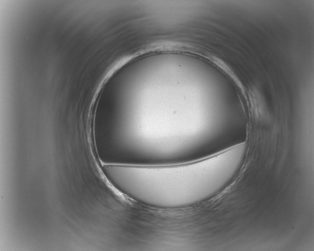 X0000064051437200601270947
