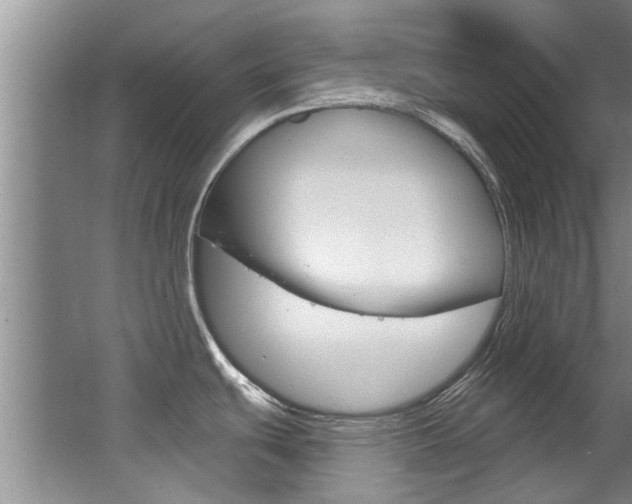 X0000064051439200601270947