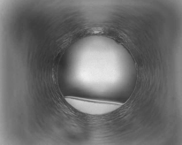 X0000064051442200601270946