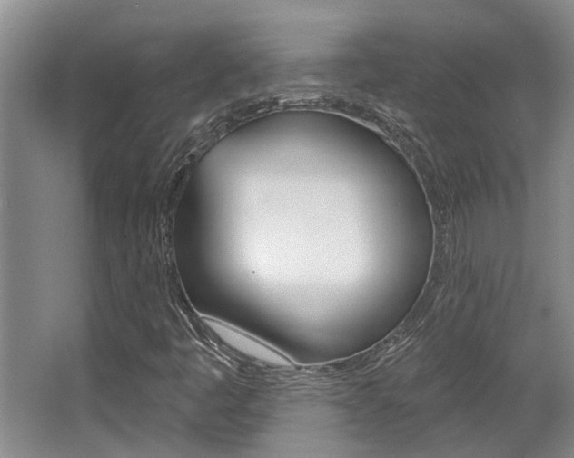 X0000064051445200601270946