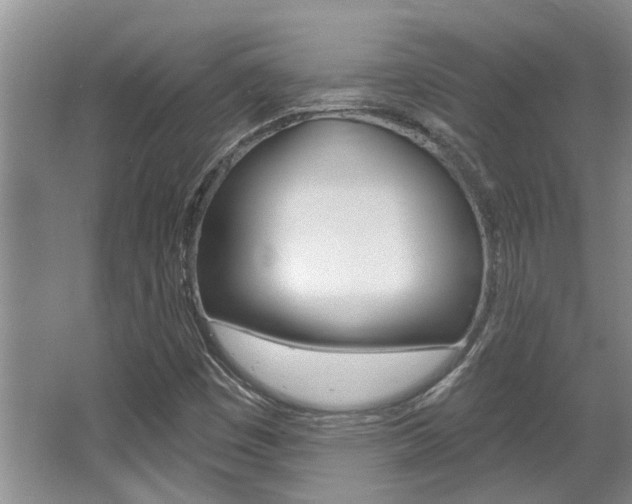 X0000064051449200601270946