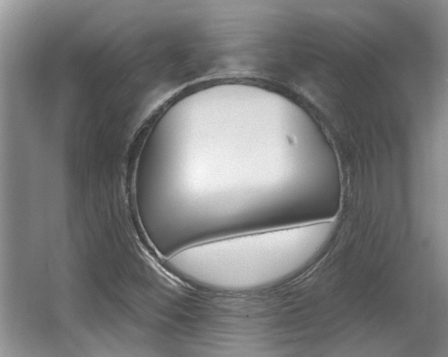 X0000064051452200601270946