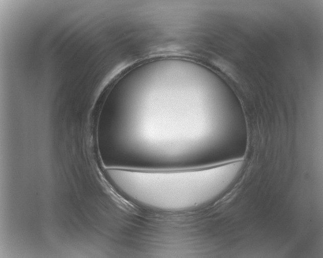 X0000064051458200601270946