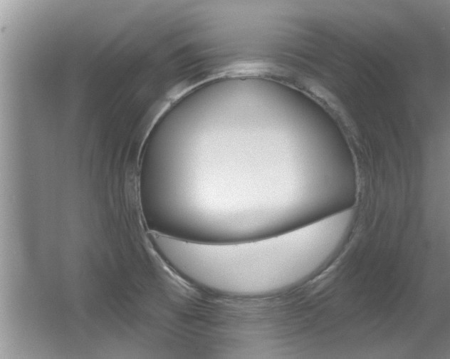 X0000064051473200601270945