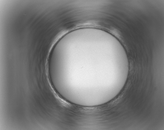 X0000064051474200601270945