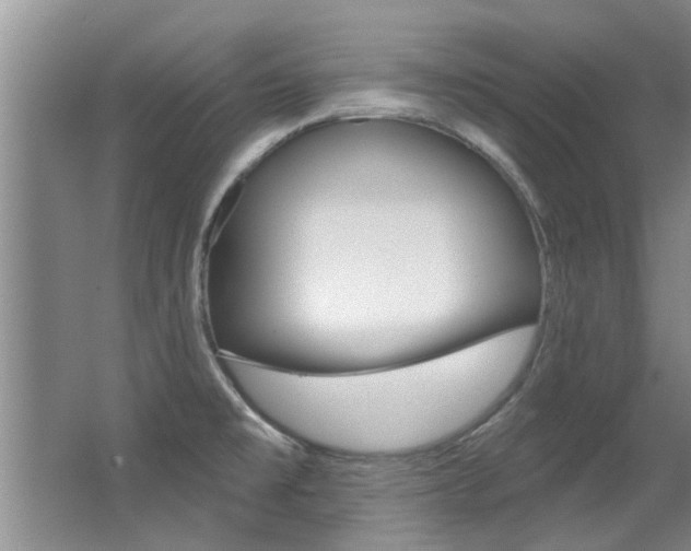 X0000064051477200601270945