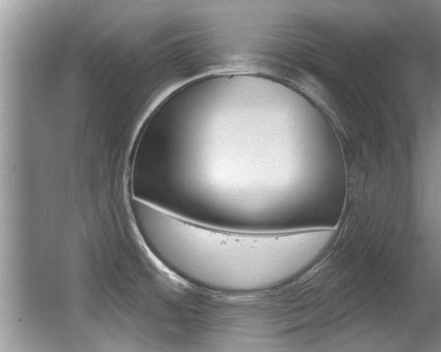 X0000064051484200601270945