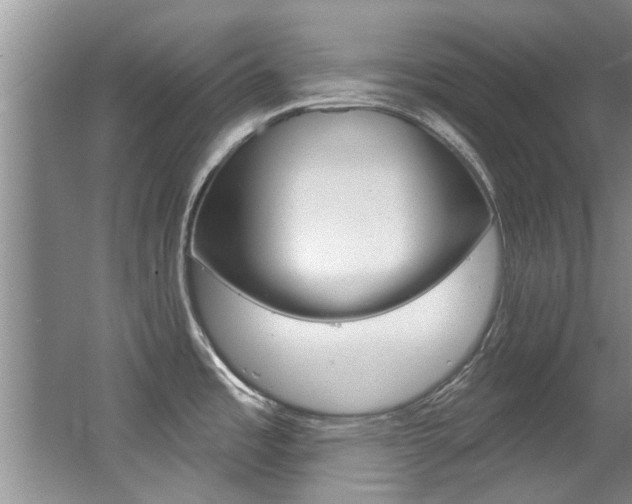 X0000064051485200601270945