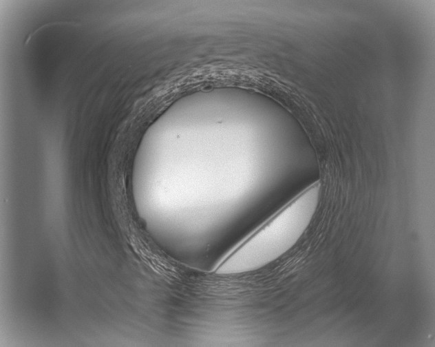 X0000064051489200601270944