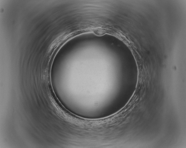 X0000064050002200601271239