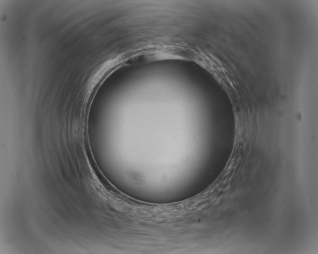 X0000064050003200601271239