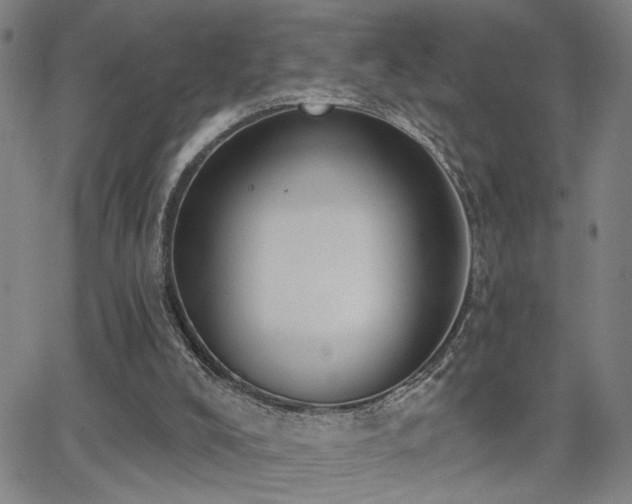 X0000064050008200601271239