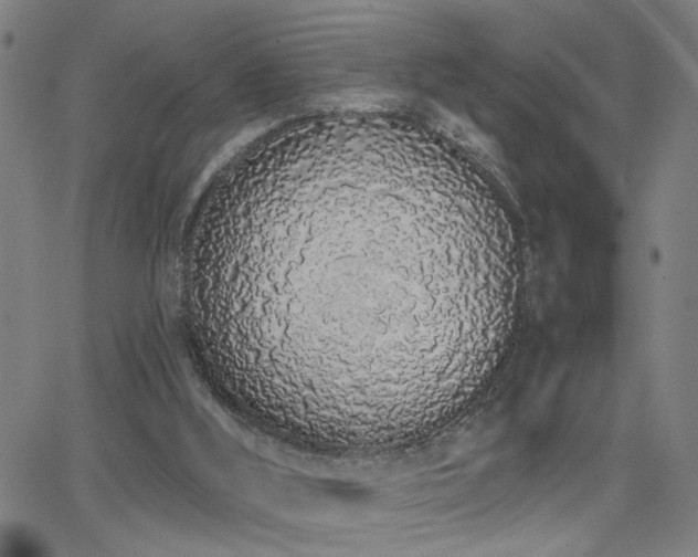 X0000064050012200601271239
