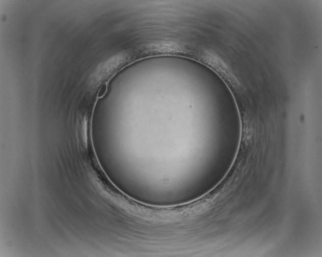 X0000064050014200601271239