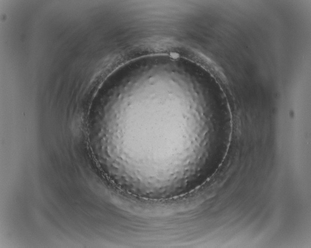 X0000064050018200601271238