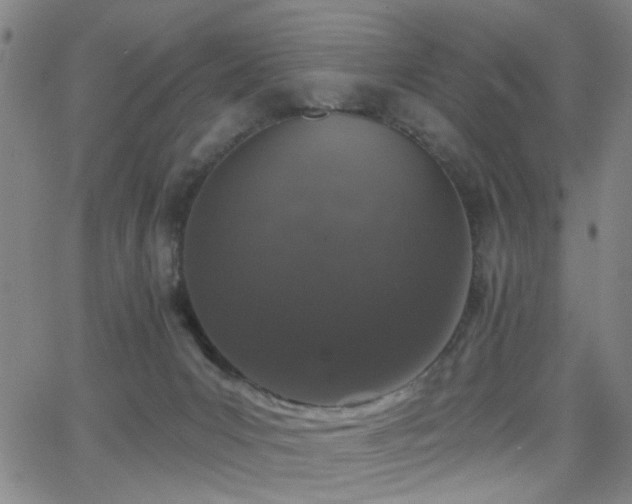 X0000064050031200601271238