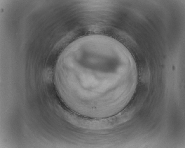 X0000064050036200601271238