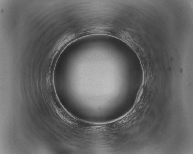 X0000064050050200601271237
