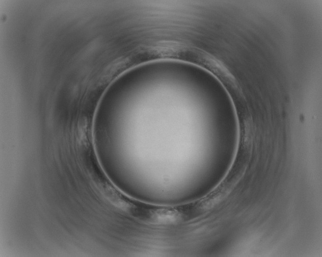 X0000064050073200601271238