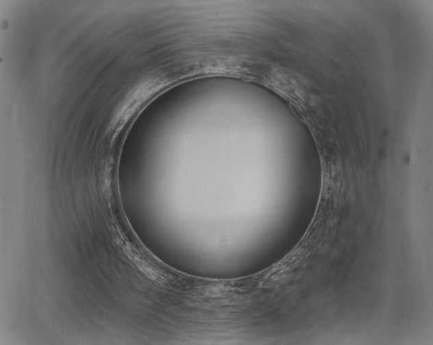 X0000064050098200601271237