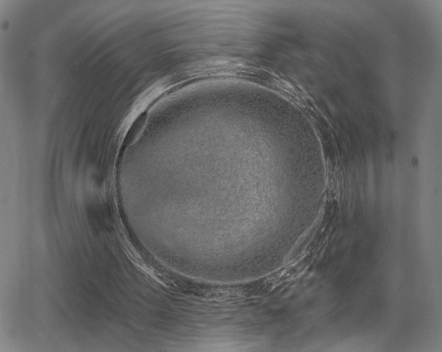 X0000064050099200601271237