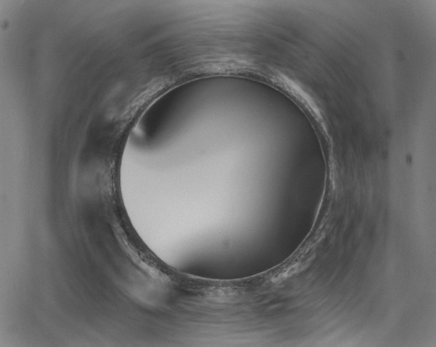 X0000064050105200601271237