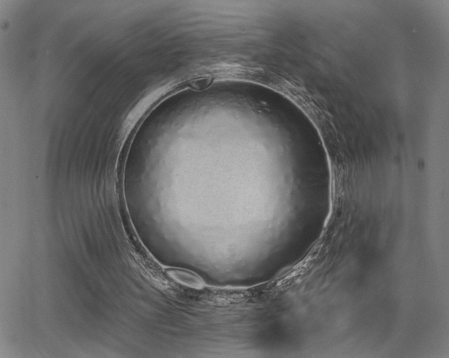 X0000064050147200601271236