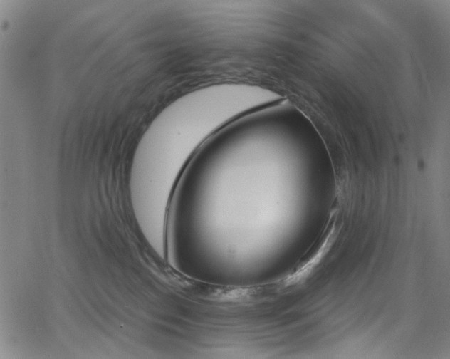 X0000064050186200601271236