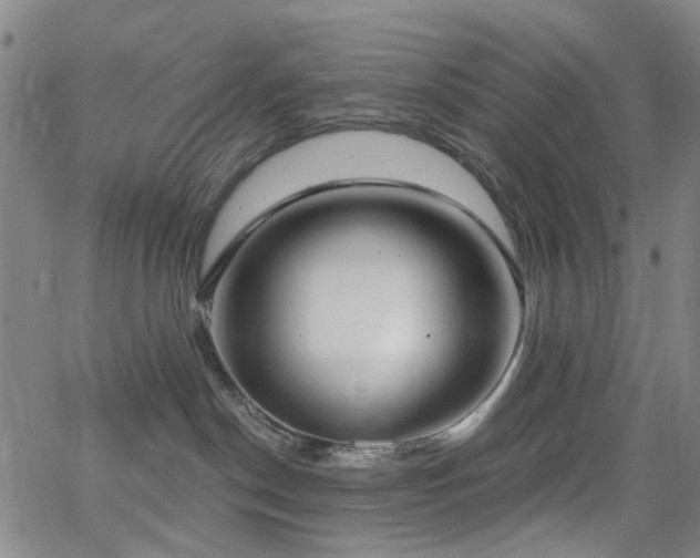 X0000064050190200601271236
