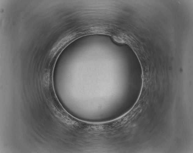 X0000064050194200601271236