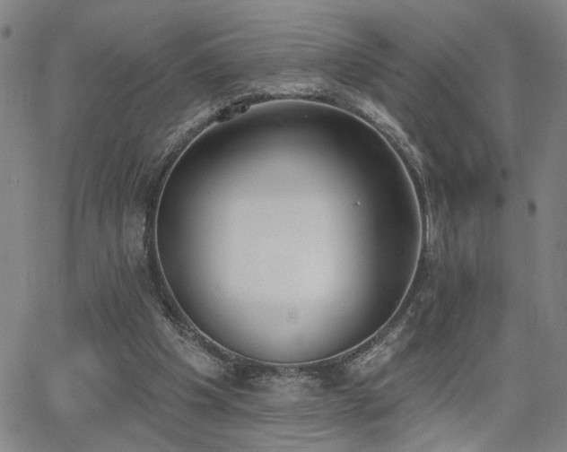 X0000064050201200601271235