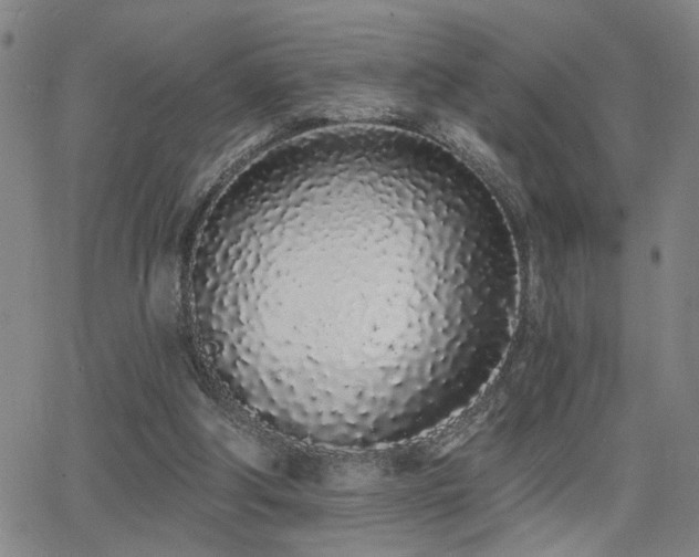 X0000064050202200601271235