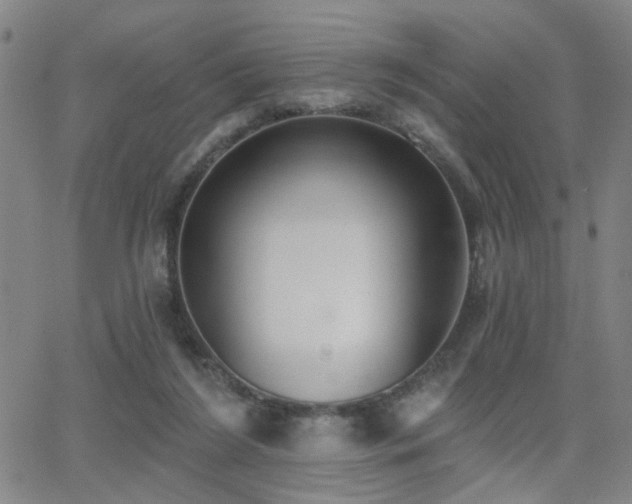 X0000064050212200601271235