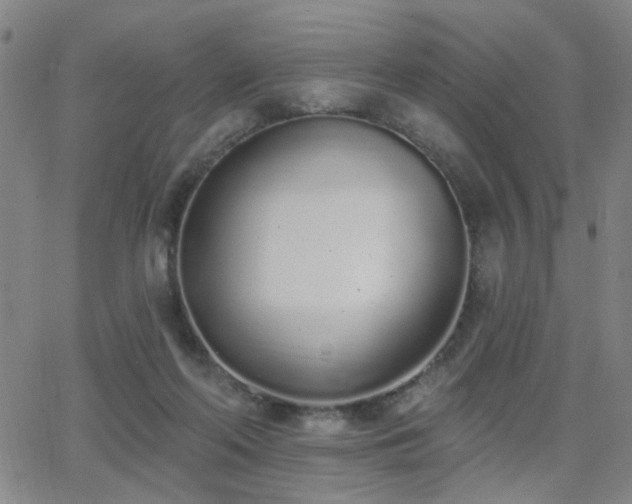 X0000064050214200601271235