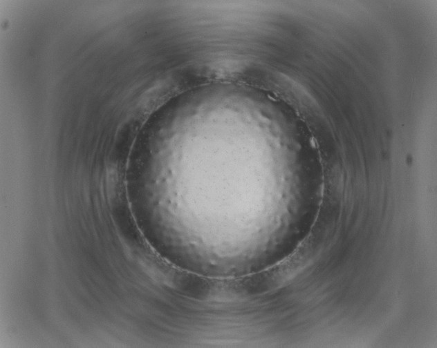 X0000064050222200601271235