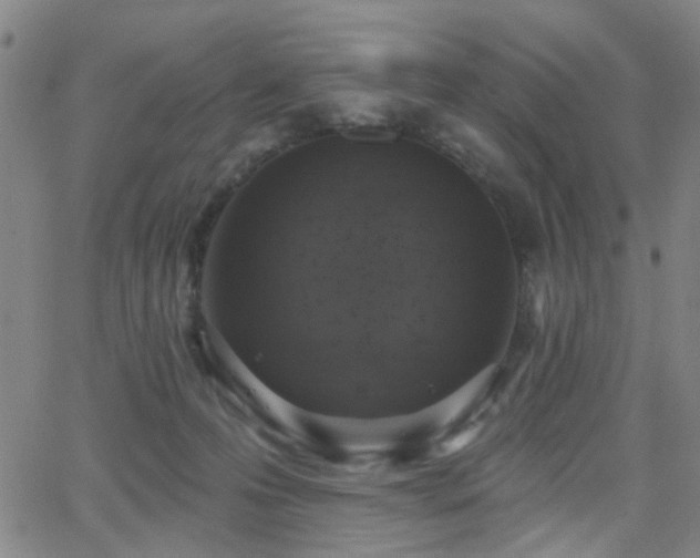 X0000064050223200601271235