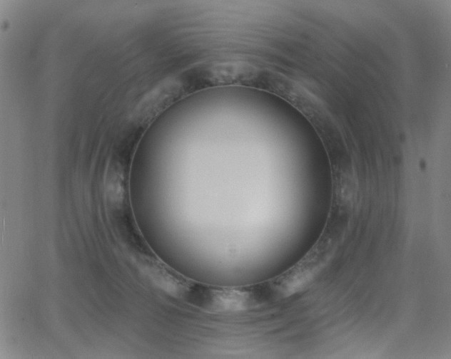 X0000064050226200601271235
