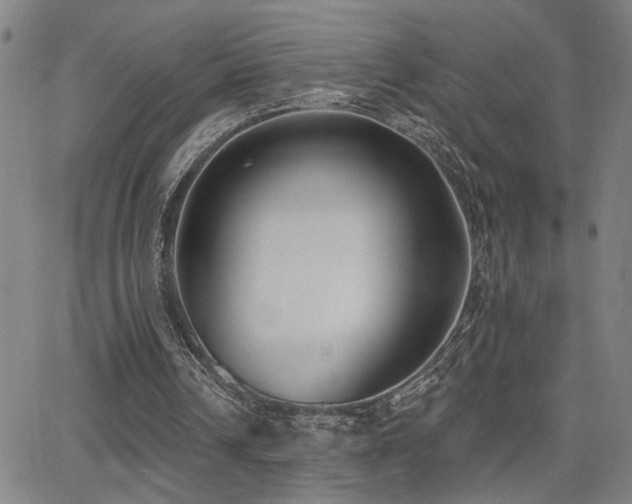 X0000064050242200601271234