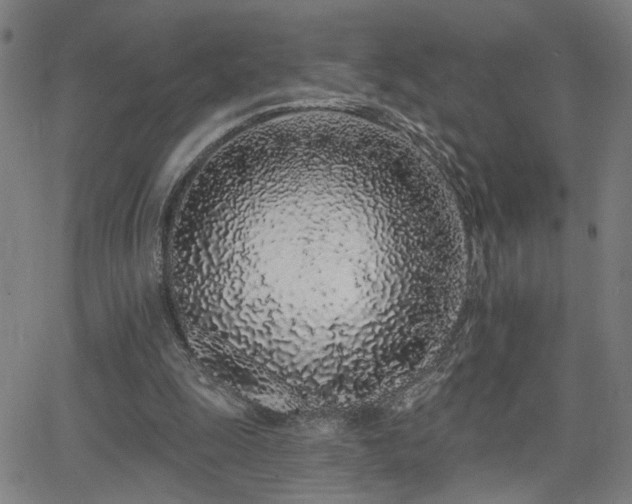 X0000064050247200601271234