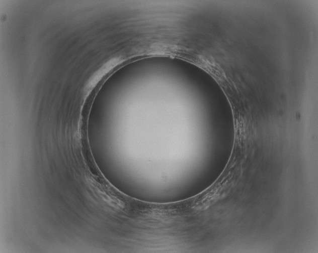 X0000064050292200601271234